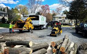 Best Commercial Tree Services  in Plattsburgh, NY