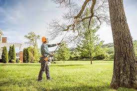 Best Pest Control for Lawns  in Plattsburgh, NY