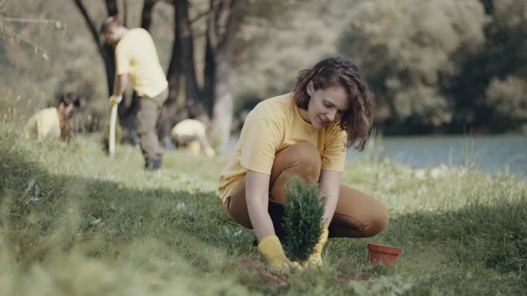 Best Organic Lawn Care Solutions  in Plattsburgh, NY