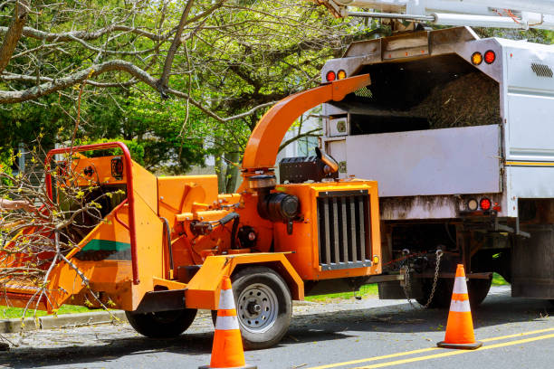 Best Soil Testing and Treatment  in Plattsburgh, NY